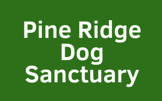 Pine Ridge Dog Sanctuary