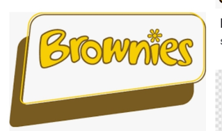 1st Priestwood Brownies