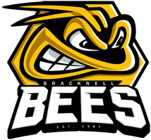 Bracknell Bees Schools & Community Programme