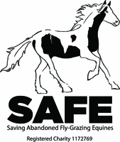 SAFE - Saving Abandoned Fly-grazing Equines